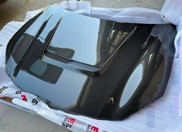FA Style Carbon fiber hood